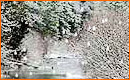 Efecto Ca�da de Nieve Sobre Paisaje con Flash