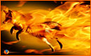 Porque usar Firefox para Navegar S�loPhotoshop